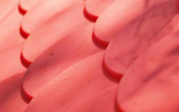 Balnaboth plastic roof costs